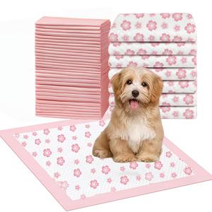 TEMU 40매 강아지 패드 24