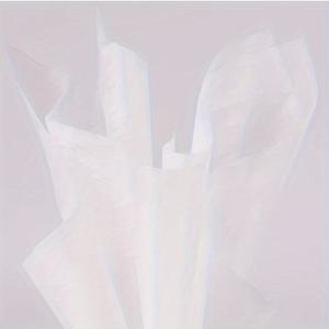 TEMU 50장 뽑아쓰는 우유색 단색 꽃 포장지, 방수 단색 부케 라이너, 플라워샵 선물 포장지, 꽃다발 포장지