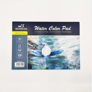 TEMU 12장 냉압착 수채화 종이 패드, 300GSM 퀄리티, 수채화 종이 블록 수채화, 과카, 잉크 페인팅용