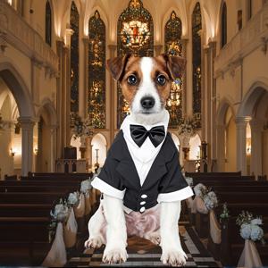 TEMU 소형견용 클래식 블랙 젠틀맨 정장 | 테디 & 치와와, 폴리에스터 니트 원단, 스냅 버튼 클로저