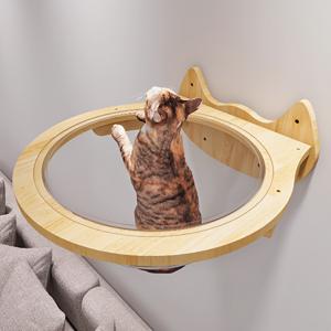 TEMU 투명 캡슐 선반이 특징인 고양이 가구 세트. 수면, 놀이, 등반 및 휴식을 위한 이상적인 제품으로, 최대 35파운드의 무게까지 지지 가능합니다.