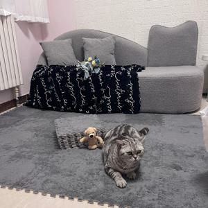 TEMU 40개 인터로킹 퍼즐 매트, 플러시 소프트 홈 데코 룸 장식, 실내 매트, 벨벳 인터로킹 매트, 침실 매트, 퍼즐 매트, 심플 스퀘어 바닥 매트, 방음 충격 흡수 매트, 플레이 매트, 두꺼운 버전 11.8x11.8인치, 배송 가능