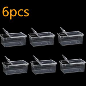 TEMU 6개입 [2세대 소형 흰색] 투명 아크릴 곤충 사육 상자 - 거미, 독수리, 만정 전용, 휴대용 통기성 관찰 상자 + 부화 용기, 소형 파충류 서식지/운반 상자