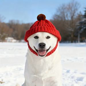TEMU 중형 & 대형 강아지 귀모양 니트 모자 - 겨울용 코스튬 파티, 캐주얼 복장, 테마 이벤트에 적합한 편안한 강아지 의류