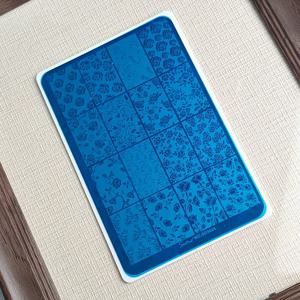 TEMU 네일 아트 스탬핑 도구 로즈 패턴 스타더스트 3024 네일 로즈 전사 스틸 플레이트