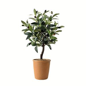 TEMU 미니 귀여운 작은 올리브 나무