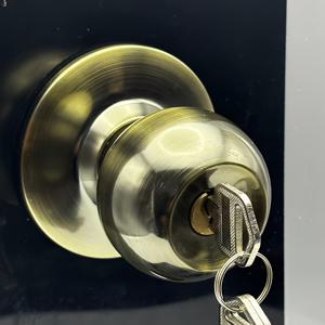 TEMU 구형 방문 도어락