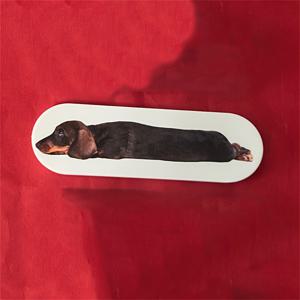 TEMU 귀여운 닥스훈트 폰 스탠드 - 아이폰 및 삼성용 휴대용 접이식 링 홀더, 접착 패드, 내구성 있는 열가소성 폴리우레탄, 핸즈프리 시청에 이상적, 폰 액세서리 | 재미있는 디자인 | 내구성 있는 폰 스탠드, 폰 홀더