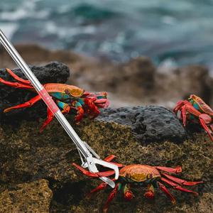 TEMU 게 기능 클립 금속 클립 쓰레기 클립 미끄럼 방지 게장 플라이어 미끄럼 방지 플라이어 미꾸라지 플라이어 실버 잠금 집게 - 안전 잠금 기능이 있는 풀 알루미늄 합금 그리퍼, 안전한 그립 및 제어를