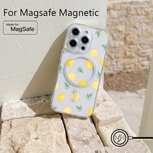 TEMU 아이폰 16 15 14 13 12 11 프로 맥스 미니 XR XS X 7 14 플러스용 킨키 프린트 폰 케이스, 투명 자석 충격방지 소프트 TPU 백커버