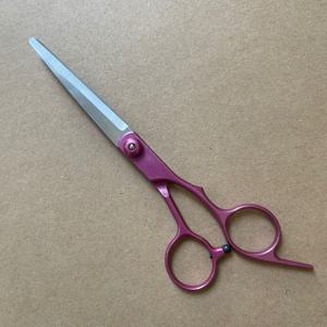 TEMU 6.0인치 전문가용 헤어 커팅 가위, 이발사 견습생, 가정용 반려동물 미용에 적합 - 강아지, 고양이, 일반 머리카락 커팅용 날이 있는 오른손잡이용 헤어 가위 (남녀공용)