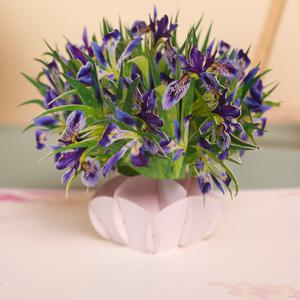 TEMU 1개 꽃 인사말 카드, 어버이날 팝업 카드, 아이리스 꽃 3D 인사말 카드 - 봄, 어버이날, 생일, 발렌타인데이, 기념일, 추수감사절, 크리스마스, 감사 카드 포함 소형 메모지 카드 - 행복한 어버이날 선물