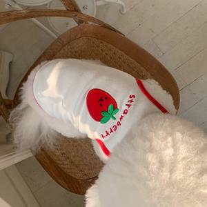 TEMU 여름 얇은 만화 티셔츠 개 고양이 조끼 포메라니안 소형 및 중형견용 통기성 옷