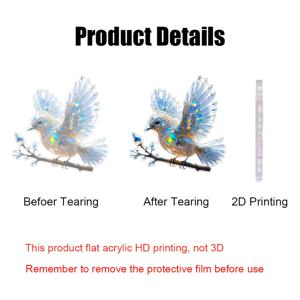TEMU 2D 플랫 - 아름다운 새가 그려진 2D 아크릴 프린팅. 정원, 창문, 현관, 벽, 방 및 거실에 적합한 선 캐처. 축제 장식 및 선물, 아크릴 장식품