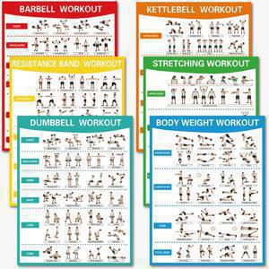 TEMU 6개 피트니스 포스터 세트 | 스트레칭, 무게lifting, 덤벨, 요가, 안정성 볼, 바벨, 저항 밴드, 케틀벨 운동 | 헬스장 장식, 홈 피트니스 가이드, 프레임리스, 혼합 색상, 20.32x25.4 cm에 적합|덤벨