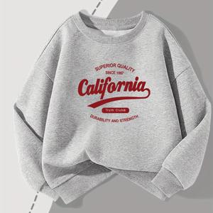 TEMU 2025년 신상 남아용 스웨트셔츠, 스타일리시한 긴팔 라운드넥 아동 상의