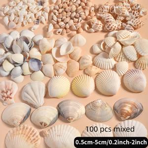 TEMU 200G 조화 조화 조개 및 호록 혼합, 수족관 장식, 공예, 풍경, 목걸이, 팔찌, 귀걸이 제작용 100개, 바다 해변 스타일, 벽 장식 [운송 중 손상 방지를 위해 몇 개를 추가로 포함합니다]