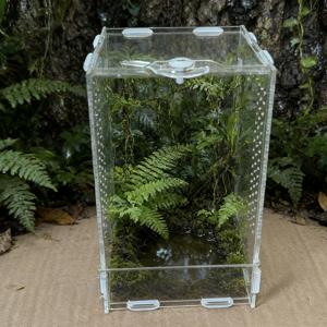 TEMU 투명 아크릴 애완동물 인클로저, 조립 간편, 개구리, 도마뱀, 작은 뱀, 거북이용. 나무 위 파충류 및 곤충 서식지