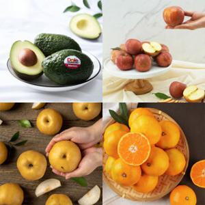 겨울 비타민 충전 (감귤 4.5kg 8천원대~ /사과, 배 1만원대 ~ )