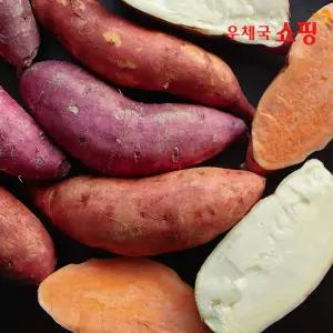 [우체국쇼핑] 달달하고 부드러운 호박/밤/꿀고구마 5kg/10kg