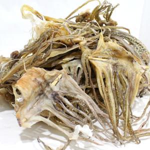 건오징어 다리만 300g 오징어 마른오징어 동해안 국내산 쪽빛누리