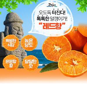 [서귀포농원] 2026년 첫수확 맛있는 천혜향,레드향,카라향 10kg