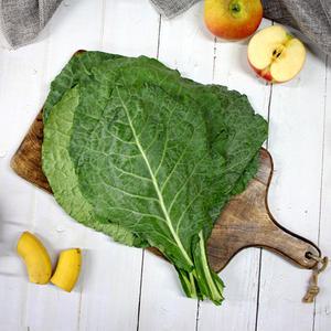 권정기님의 유기농 녹즙용 케일/신선초/비트/샐러리/당근/밀싹/밀새싹/보리싹/보리새싹 1kg