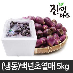 제주산  냉동 백년초열매 5kg
