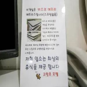 [충남] 부여 고란초(충남, 부여)