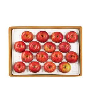 [롯데백화점]장길영사과 [장길영사과]갈아먹는 알뜰사과 특대과 5kg(10-16과)