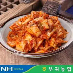 한국농협 마이산김치 국내산 막김치 1kg