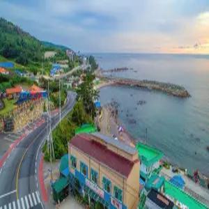 [경북] 경주 감포 생불고기&펜션(경북, 경주)