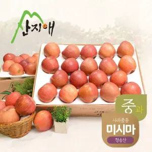 산지애 알뜰 못난이사과(중과) 4kg 2box / 당도선별, 청송산 미시마