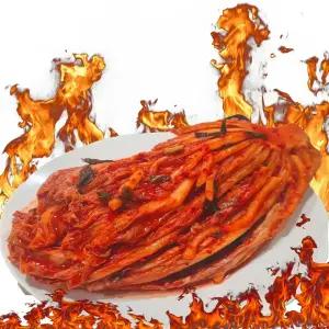 오늘애 죽을만큼 매운 실비김치 2,3,5 kg