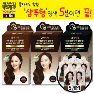 댕기머리 더 편한 샴푸형 새치 셀프염색 흰머리 새치머리용 염색약 30g 5개 (1통)