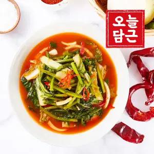 [오늘담근] 전라도 열무물김치 5kg