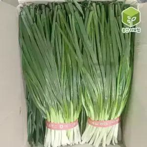 국내산 흙쪽파 깐쪽파 5kg 1box