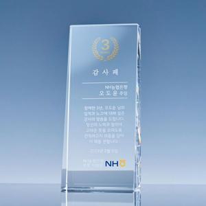 [믿음상패]부모님 감사패 공로패 크리스탈 트로피 믿음 상패 제작 DJ023