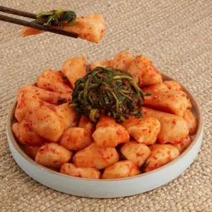 에스비케이 건강담은 총각김치 5kg