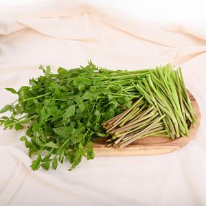 당일 수확 청도 미나리 1kgx2봉 / 산지직송 삼겹살꿀조합 한재