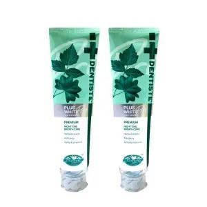 덴티스테 플러스 화이트 프로 (불소 1000ppm) 치약 160g x2개