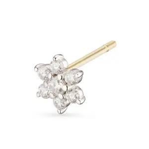 [도로시] 14k 모이사나이트 별꽃 귀걸이