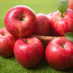 국내산 가정용 부사 사과 8kg 꼬마소과