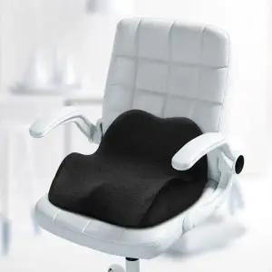 바른자세 허리지지대 학생 직장인 메모리폼 방석