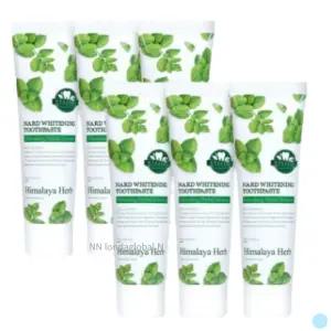 부케가르니 미백 치약 상쾌한 허브 향 추천 100g 6개