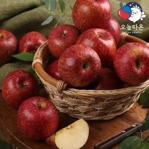 [오늘따온]특등급 거창 사과(부사) 5.8kg / 2.9kg x 2박스