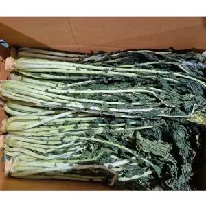 강원도 정선 무청 시래기 반건조시래기 2kg 자연건조