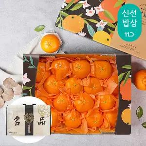 [품질보장] 제주 레드향 2.6kg 15-18과