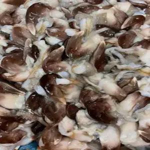 국내산 여수 손질 새조개 200g 10미 내외 당일조업 순살 샤브샤브 제철 별미 급냉상품 선택가능