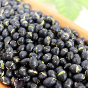 볶음 서리태 1kg